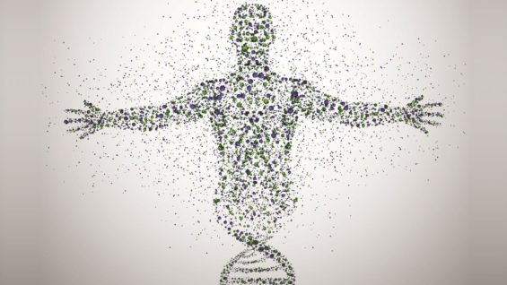 Epigenetic